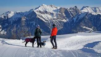 Pizol, snow, walking floors, dog, winter hiking, alphorn group Pardiel