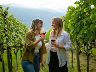 Fläsch, backpack wine tasting, Bündner Herrschaft, Maienfeld, wine drinking, picnic backpack, wine tasting, fall