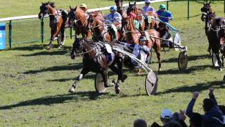 horse race, event, race, Maienfeld, horse
