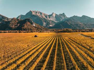 Fläsch, autumn colors, Falknis, vines, Bündner Herrschaft