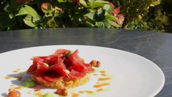Gastronomy, Culinary, Gastronomy