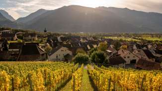 Wine, village