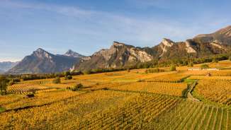 Vineyard, dominion, wine, villages, mountains, Falknis, village, Graubünden, Bündner Herrschaft, view