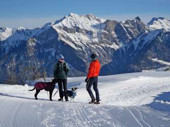 Pizol, snow, walking floors, dog, winter hiking, alphorn group Pardiel