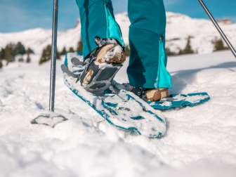 Snow, snowshoe