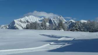 Snow, cross-country skiing, cross-country ski runs