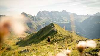 Mountains, mountain summer, Älplibahn Malans, Bündner Herrschaft, Vilan round tour, view, Malans
