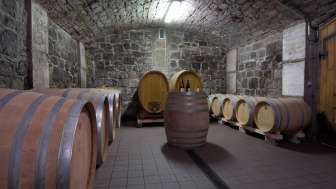 Barrique cellar from the Gonzen winery
