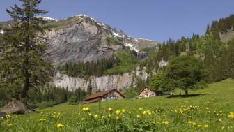 Alp Walabütz