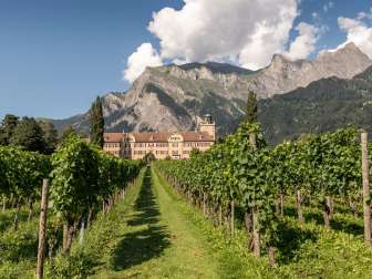 Salenegg Castle