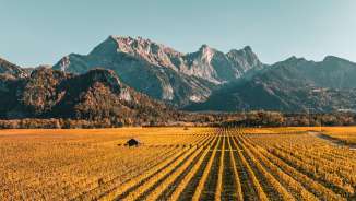 Fläsch, autumn colors, Falknis, vines, Bündner Herrschaft