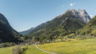 Alpine landscape in the Tamina Valley with spring-like flower meadow