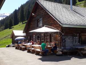 Alp Kohlschlag