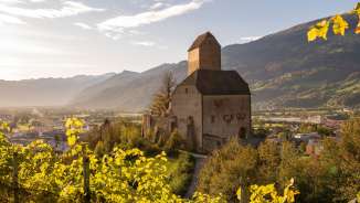 vineyard, Sargans, wine, Sargans Castle, St.Gallen wine, grapes, Gonzen